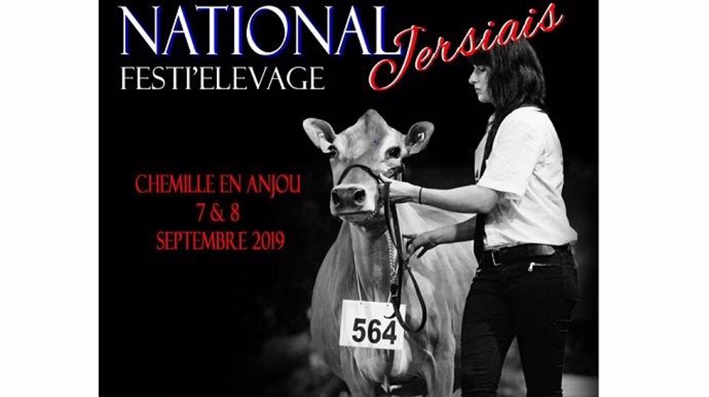 Rendez-vous au Festi'Elevage les 7 et 8 septembre 2019 pour le concours national Jersiais. (©Jersiaise France)