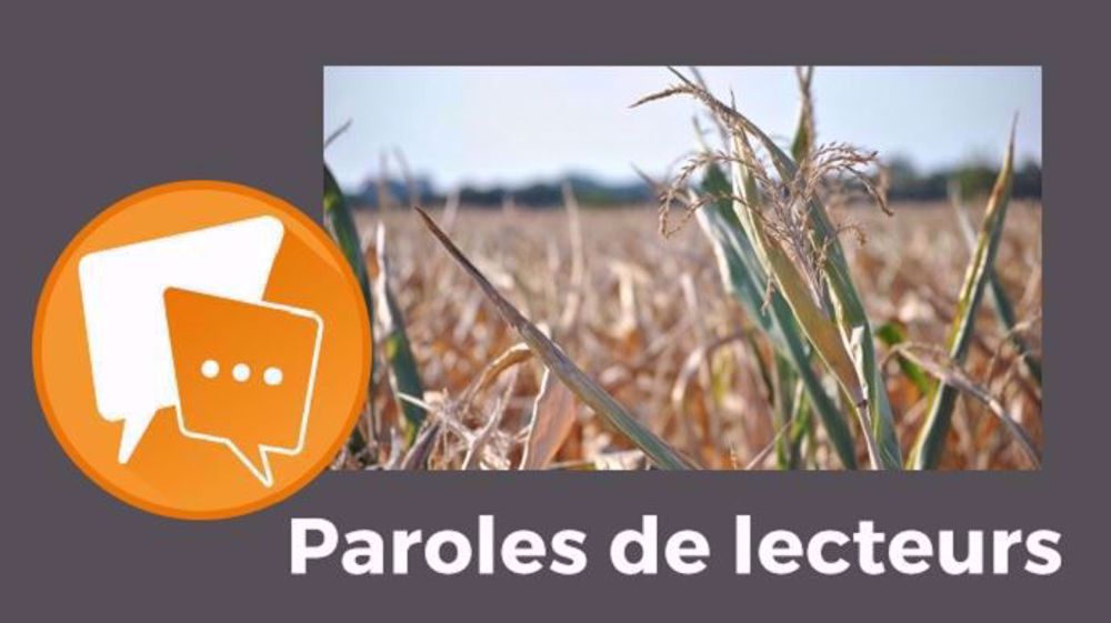  « Honte aux politiciens et aux écolos bobos démagos qui refusent la création de réserves d'eau !! », s'exclame agri expert. (©Pixabey // Création Terre-net Média)