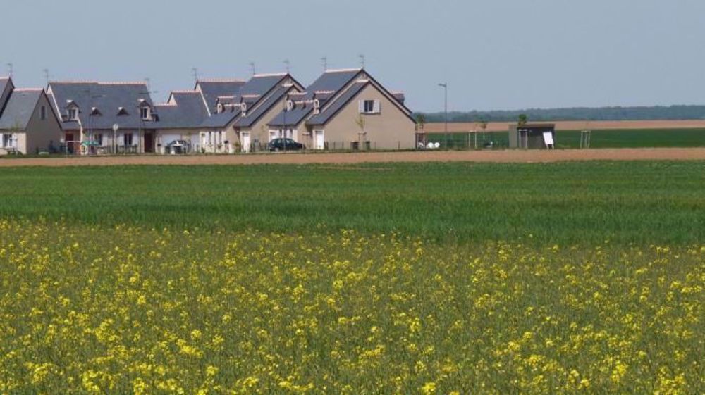Le gouvernement a proposé samedi de fixer une distance minimale entre habitations et zones d'épandage de produits phytosanitaires agricoles à 5 mètres pour les cultures dites basses (céréales par exemple). (©Terre-net Média) (©Terre-net Média)
