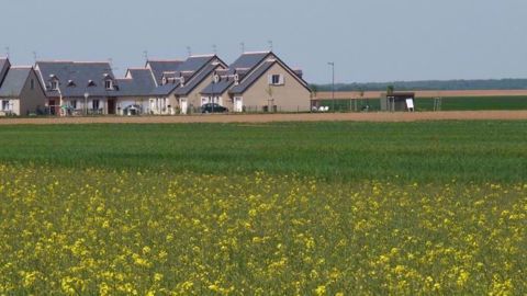 Le gouvernement a proposé samedi de fixer une distance minimale entre habitations et zones d'épandage de produits phytosanitaires agricoles à 5 mètres pour les cultures dites basses (céréales par exemple). (©Terre-net Média) (©Terre-net Média)