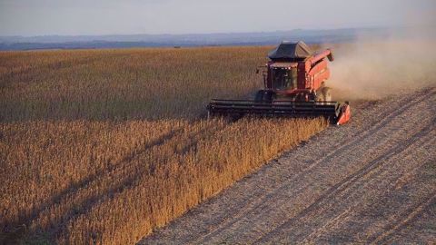 Le soja est particulièrement sensible à la situation commerciale entre Washington et Pékin. (©Pixabay)