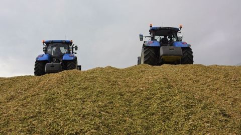 Faut-il continuer à recevoir des primes Pac sur des parcelles cultivées pour nourrir un méthaniseur ? (©Terre-net Média) Faut-il continuer à recevoir des primes Pac sur des parcelles cultivées pour nourrir un méthaniseur ? (©Terre-net Média)
