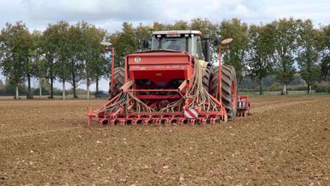 Pour gérer les aléas climatiques de plus en plus fréquents, Arvalis retravaille le couple précocité variétale/dates de semis. (©Arvalis-Institut du végétal)