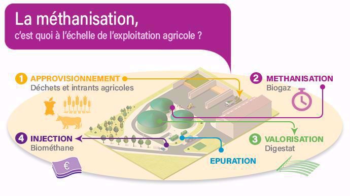 processus méthanisation