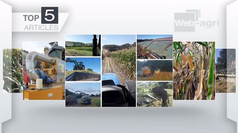 Les articles les plus lus sur Web-agri cette semaine. (©Terre-net Média)
