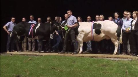 Retrouvez le replay et le palmarès du concours Blanc-bleu