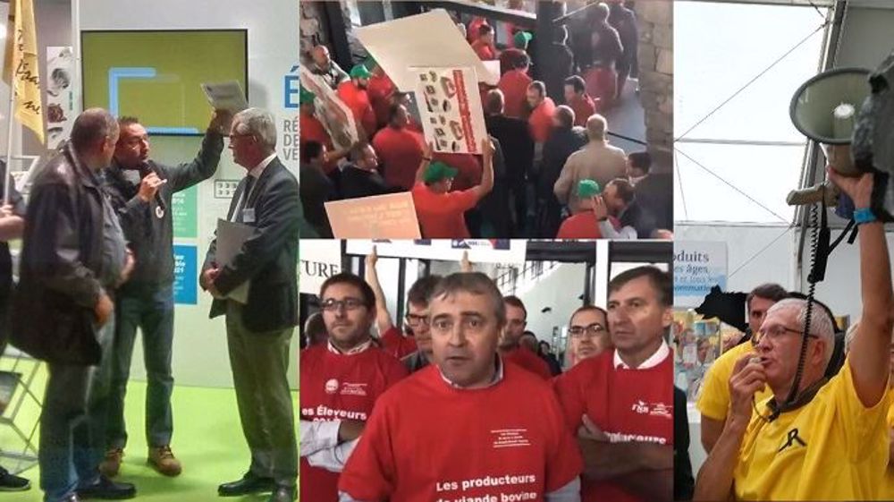 La Confédération paysanne (à droite), le duo FRSEA-JA (au centre) et la Coordination rurale (à droite), ont manifesté chacun de leur côté au deuxième jour du Sommet de l'élevage, jeudi 3 octobre 2019. (©Terre-net Média)