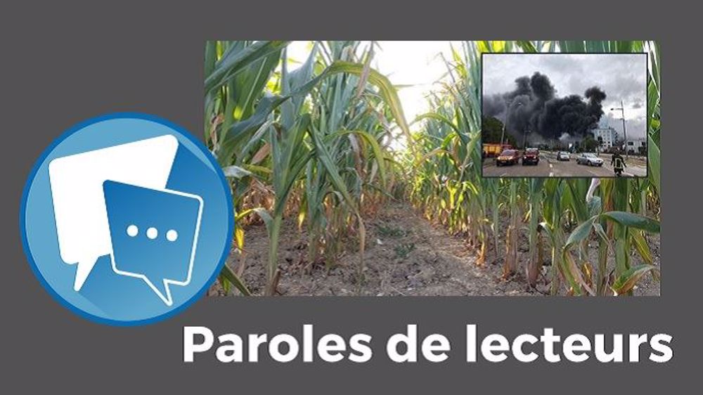  « Les agriculteurs sont encore pénalisés alors qu'ils ne sont pas responsables de cette pollution », déplore Terminé. (©Terre-net Média, compte Twitter France Bleue Normandie // Création Terre-net Média)