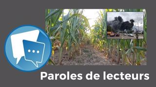 « Les agriculteurs sont encore pénalisés alors qu'ils ne sont pas responsables de cette pollution », déplore Terminé. (©Terre-net Média, compte Twitter France Bleue Normandie // Création Terre-net Média) « Les agriculteurs sont encore pénalisés alors qu'ils ne sont pas responsables de cette pollution », déplore Terminé. (©Terre-net Média, compte Twitter France Bleue Normandie // Création Terre-net Média)