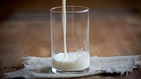 D'après les chercheurs, le lait serait la boisson la plus hydratante devant l'eau, le jus d'orange, les sodas, le thé et le café. (©CC) D'après les chercheurs, le lait serait la boisson la plus hydratante devant l'eau, le jus d'orange, les sodas, le thé et le café. (©CC)