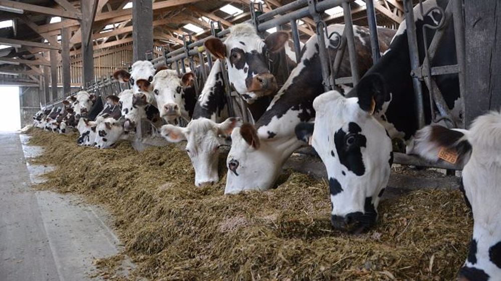 Ouvert du 15 octobre au 29 novembre 2019, ce dispositif consiste en une avance remboursable plafonnée à 10 000 euros par exploitation concernée par l'incendie de Lubrizol. (©Terre-net Média)