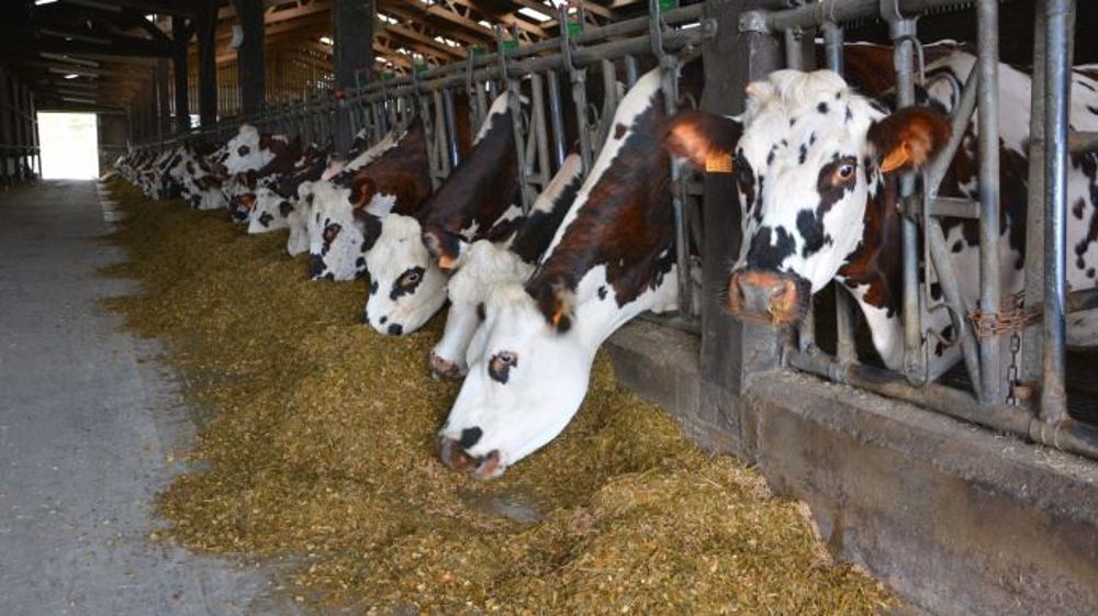 Les mesures de restriction, suite à l'incendie de Lubrizol, sont levées pour le lait et les produits laitiers. (©Terre-net Média)