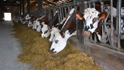 Les mesures de restriction, suite à l'incendie de Lubrizol, sont levées pour le lait et les produits laitiers. (©Terre-net Média) Les mesures de restriction, suite à l'incendie de Lubrizol, sont levées pour le lait et les produits laitiers. (©Terre-net Média)