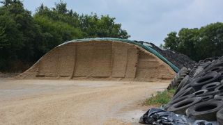 Le rendement moyen du maïs ensilage 2019 est de 11,7 t de MS/ha, soit une baisse par rapport à 2018. (©Terre-net Média) Le rendement moyen du maïs ensilage 2019 est de 11,7 t de MS/ha, soit une baisse par rapport à 2018. (©Terre-net Média)