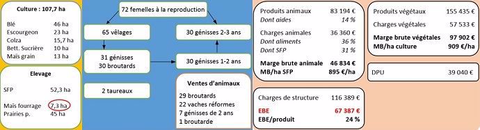 Scénario bilan système naisseur avec vente de broutards
