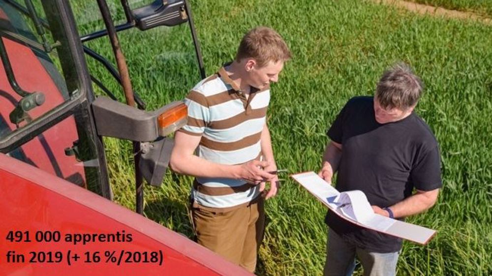 Vu les chiffres enregistrés en 2019, la réforme semble avoir rendu l'apprentissage plus attractif. (©Countrypixel, Fotolia)