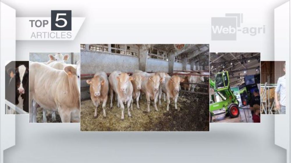 Articles les plus lus sur Web-agri cette semaine. (©Terre-net Média)