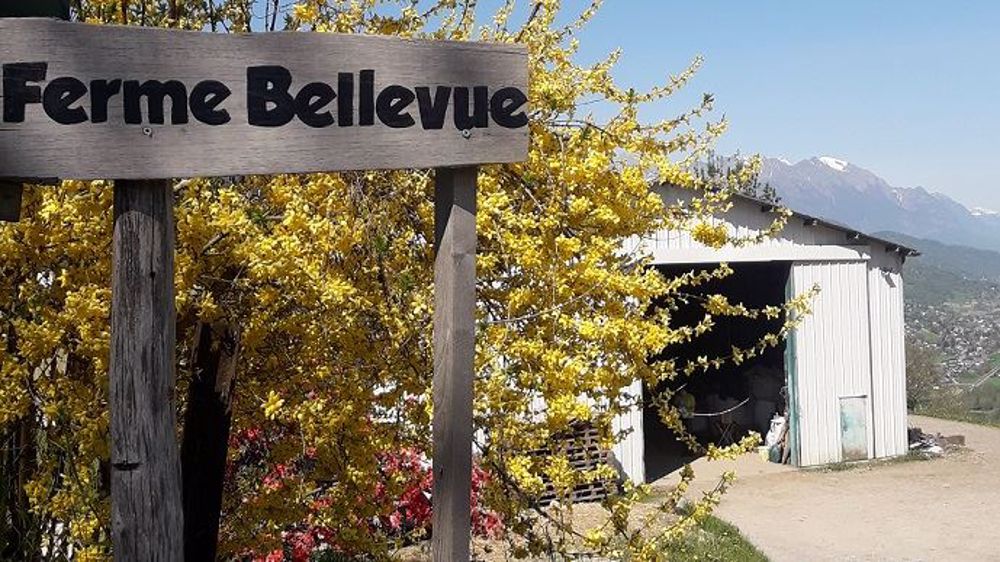  Robin et sa future associée Anne ont des impératifs géographiques. La ferme de Bellevue, près de Grenoble, a une situation idéale. (©Robin Vergonjeanne)