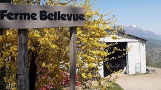 Robin et sa future associée Anne ont des impératifs géographiques. La ferme de Bellevue, près de Grenoble, a une situation idéale. (©Robin Vergonjeanne) Robin et sa future associée Anne ont des impératifs géographiques. La ferme de Bellevue, près de Grenoble, a une situation idéale. (©Robin Vergonjeanne)