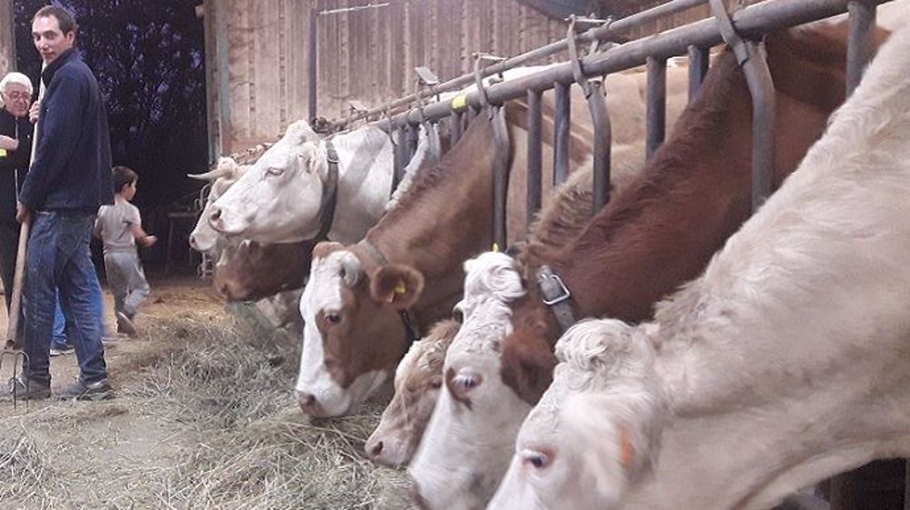 Robin jette un dernier regard sur son parcours à l'installation, à travers le financement de son projet, avant de « plonger dans le grand bain ». (©Robin Vergonjeanne)