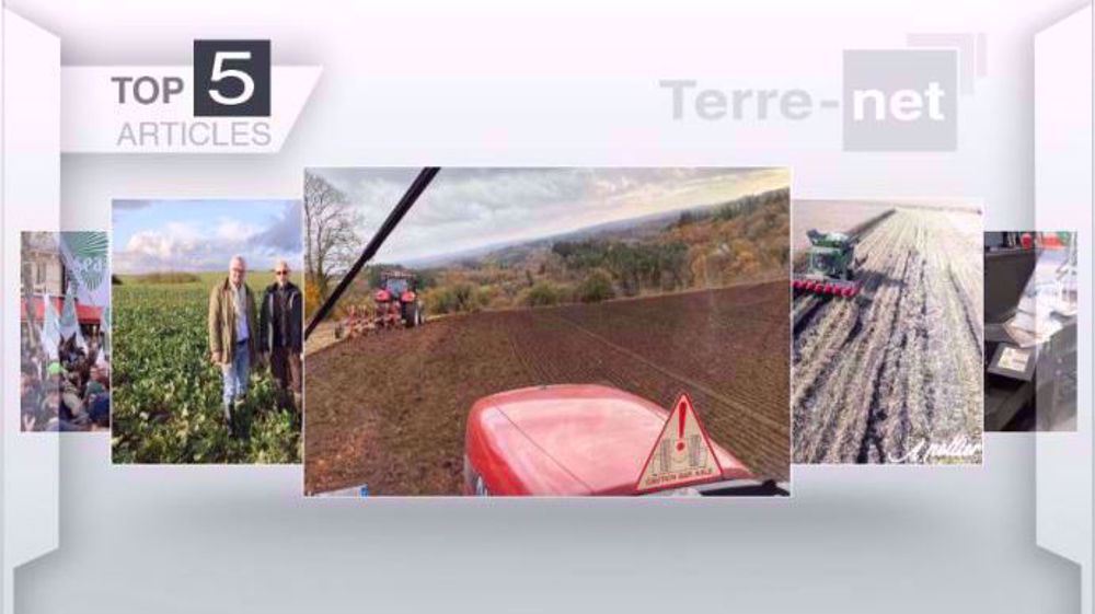 Articles les plus lus sur Terre-net cette semaine. (©Terre-net Média)