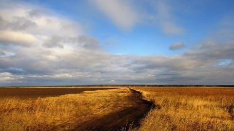 Les productions russes et ukrainiennes de grains pourraient doubler en cinq ans. (©Pixabay)
