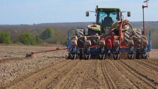 Avec une génétique majoritairement fourrage, les sélectionneurs Jouffray-Drillaud sont « très attentifs aux notions de valeur alimentaire » (©Terre-net Média) Avec une génétique majoritairement fourrage, les sélectionneurs Jouffray-Drillaud sont « très attentifs aux notions de valeur alimentaire » (©Terre-net Média)