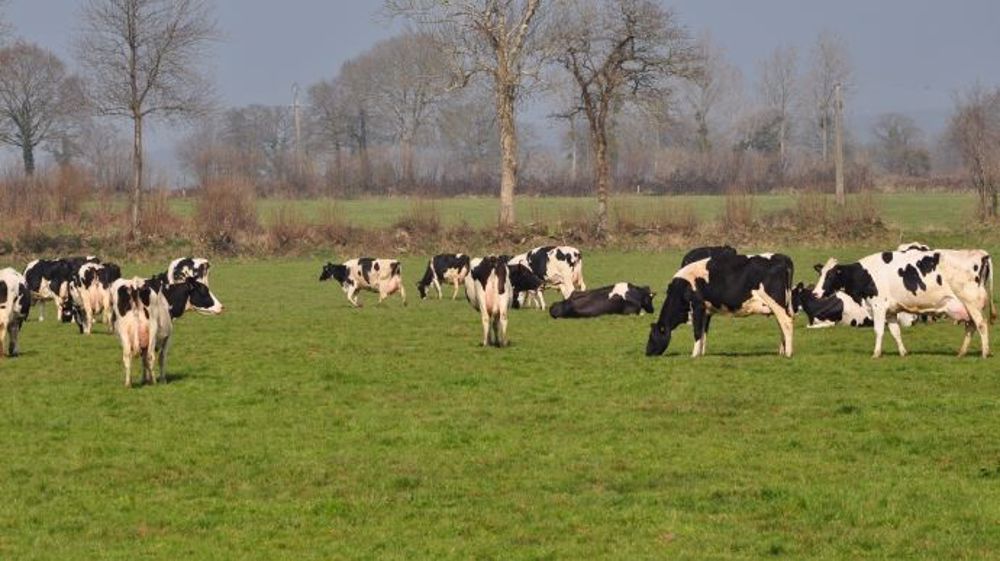  (©Terre-net Média)