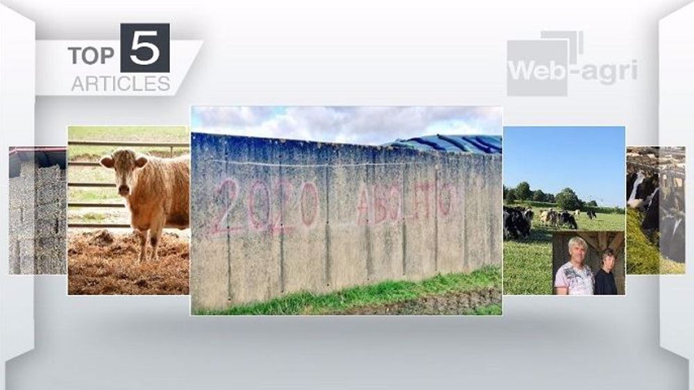 Top articles de Web-agri cette semaine. (©Terre-net Média)