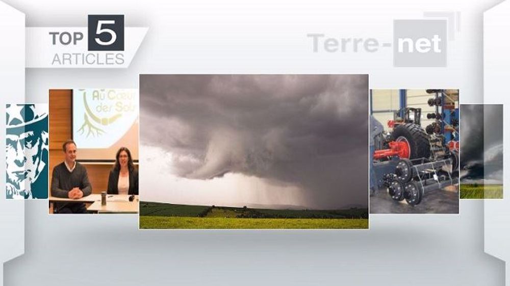 Top articles de Terre-net cette semaine.