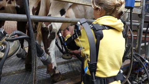 Exosquelette pour la traite Trayeur équipé d'un exosquelette pour l'accompagner dans ses mouvements lors de la traite.