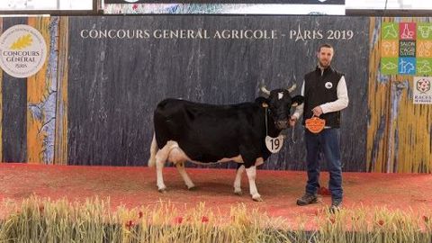Equerre remporte le titre An hini vravan du concours Bretonne pie noire Equerre remporte le titre An hini vravan du concours Bretonne pie noire