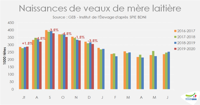 Naissances de veaux de mère laitière