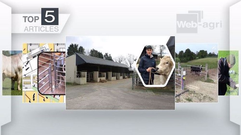 Top articles de Web-agri cette semaine. (©Terre-net Média)