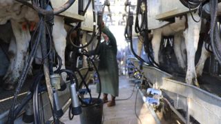 Un éleveur « ne trait pas ses vaches tous les matins, tous les soirs pour jeter le lait », a souligné Didier Guillaume. (©Terre-net Média) Un éleveur « ne trait pas ses vaches tous les matins, tous les soirs pour jeter le lait », a souligné Didier Guillaume. (©Terre-net Média)