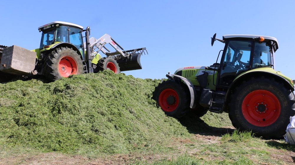 L'inoculation de l'herbe par un conservateur ne doit pas faire oublier les bonnes pratiques d'ensilage, à savoir la récolte au bon stade, un tassage suffisant et une fermeture hermétique du silo. (©Terre-net Média)