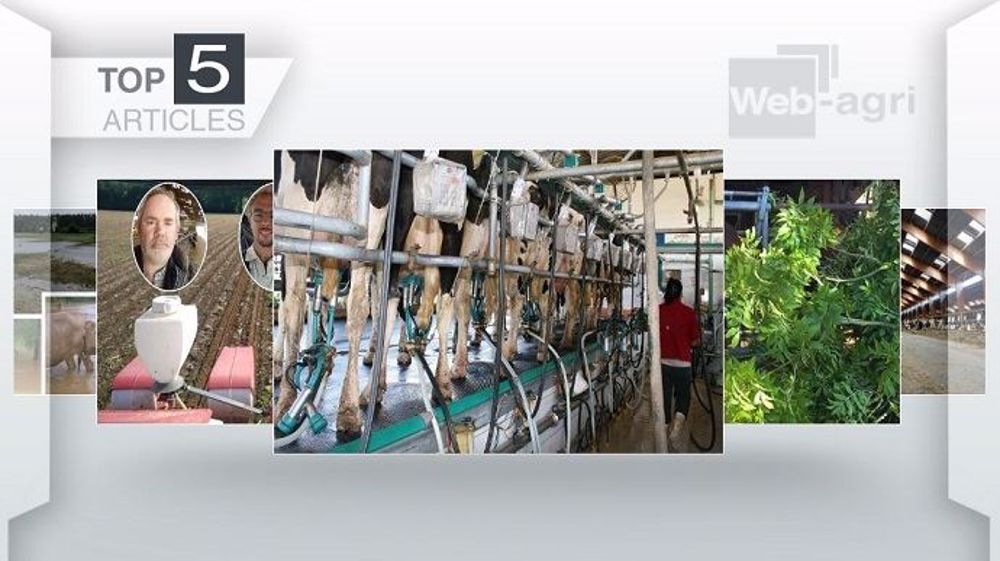 Top articles de Web-agri cette semaine. (©Terre-net Média)