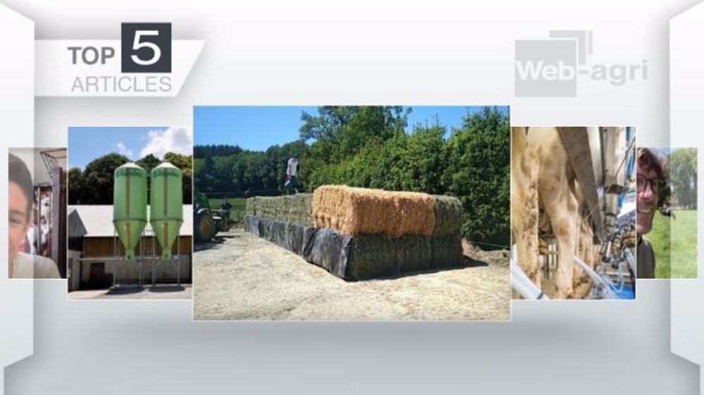 Articles les plus lus sur Web-agri cette semaine. (©Terre-net Média)