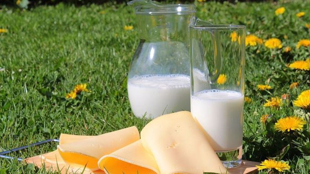 Produits laitiers (©Pixabay)