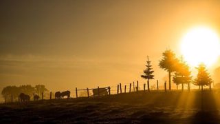 Le printemps 2020 a été le troisième plus chaud depuis 1946. (©Pixabay) Le printemps 2020 a été le troisième plus chaud depuis 1946. (©Pixabay)