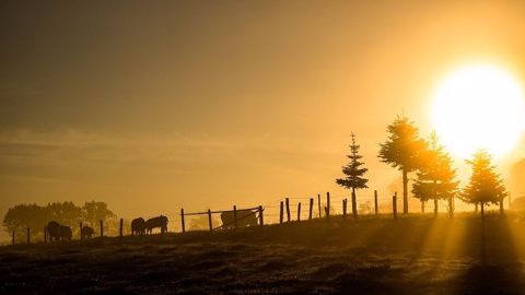 Le printemps 2020 a été le troisième plus chaud depuis 1946. (©Pixabay) Le printemps 2020 a été le troisième plus chaud depuis 1946. (©Pixabay)