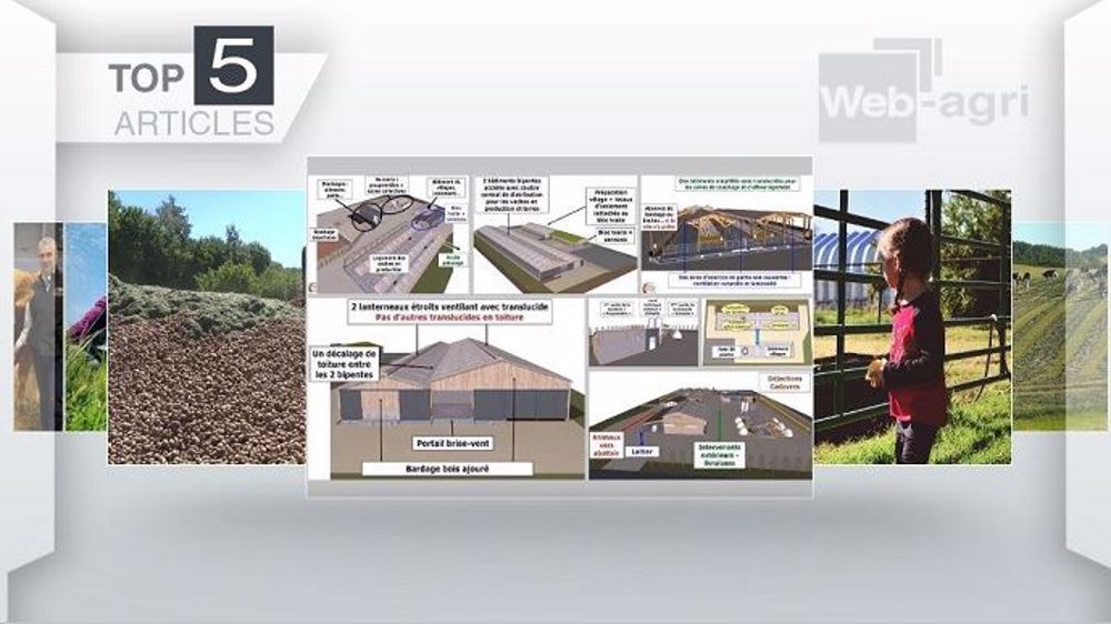 Top articles de Web-agri cette semaine (©Terre-net Média)