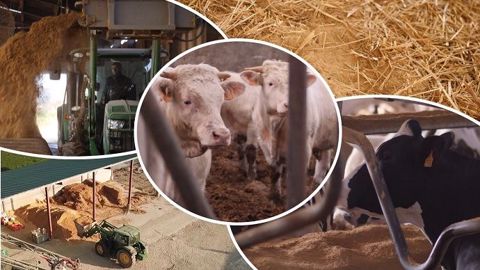 En lait en comme en viande, la Dollit permet de remplacer tout ou partie de la paille dans la litière. (©Iribarren amendements) En lait en comme en viande, la Dollit permet de remplacer tout ou partie de la paille dans la litière. (©Iribarren amendements)