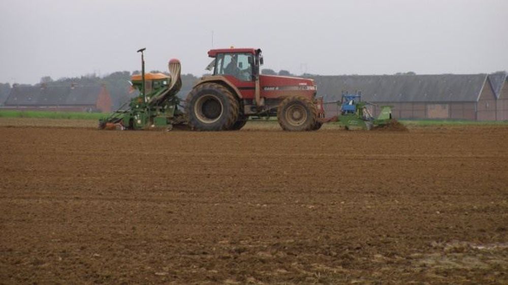 Les conditions des semis de blé 2020 seront-elles meilleures qu'en 2019 ?  (©Terre-net Média)