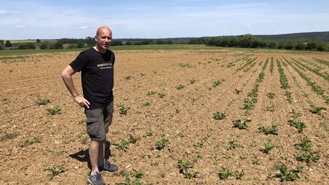 Christophe Grison, devant son champ de betteraves, le 26 mai dernier. (© Compte twitter @agritof60)