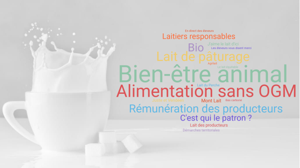 Lait de pâturage, bio, issu de vaches nourries sans OGM... La tendance à la segmentation du lait liquide s'amplifie depuis quelques années. (©Terre-net Média)