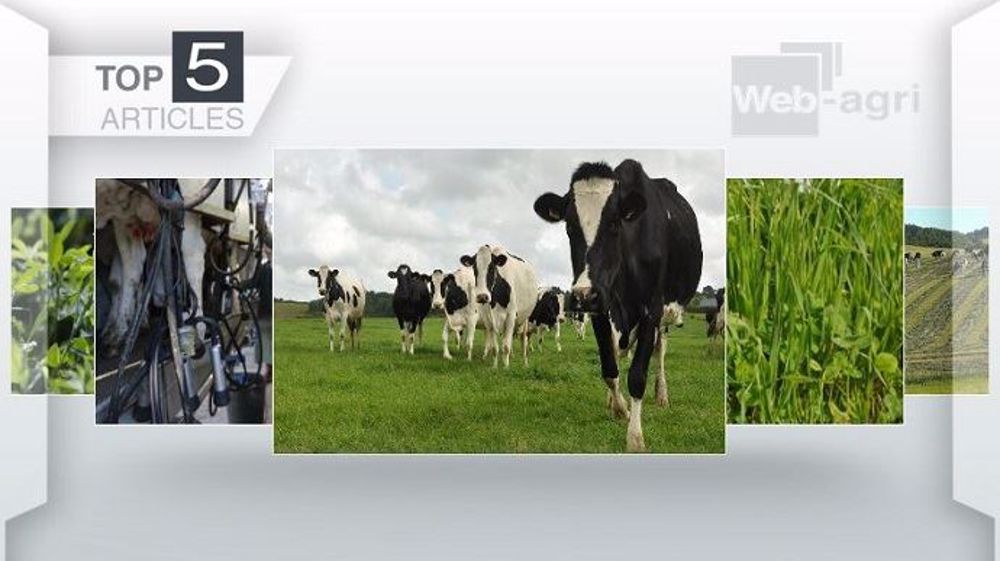 Top articles de Web-agri cette semaine. (©Terre-net Média)