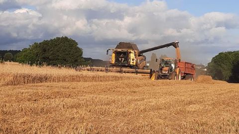 Au 12 juillet, il ne restait plus qu'un hectare sur dix d'orge d'hiver à récolter en France. (©@MaLuherne56/Twitter)
