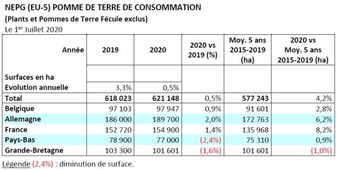Évolution des surfaces de pommes de terre de consommation