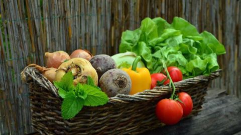 6,1 % de la consommation alimentaire des ménages français était consacrée aux produits bio en 2019. (©Pixabay)
